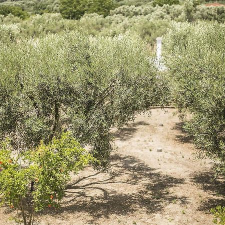 Olive Tree Apartments Fourka Eksteriør billede