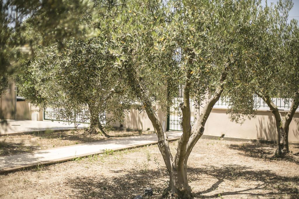 Olive Tree Apartments Fourka Eksteriør billede