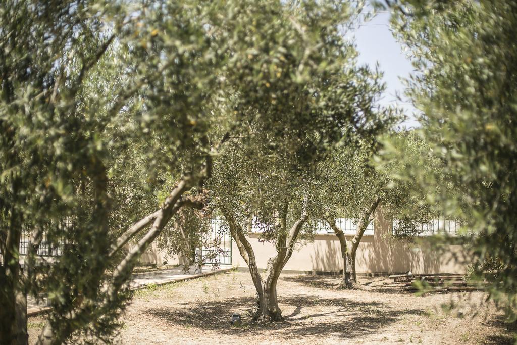 Olive Tree Apartments Fourka Eksteriør billede